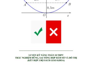 Luyện kỹ năng Toán 10 trắc nghiệm đúng sai tổng hợp hàm số và đồ thị