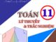 Lý thuyết và trắc nghiệm môn Toán lớp 11 Lê Doãn Thịnh